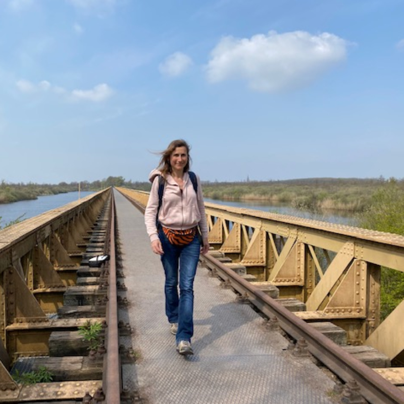 Spoorbrug in natuurgebied de Moerputten - Van Gogh Nationaal Park
